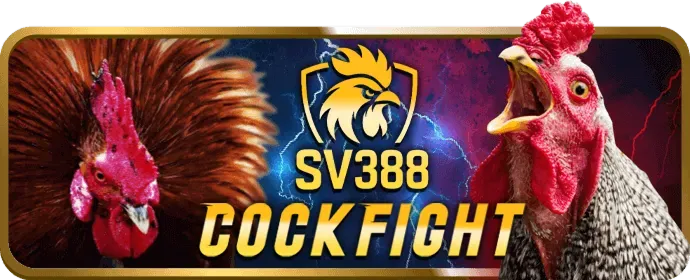 Đá gà cựa sắt onbet game